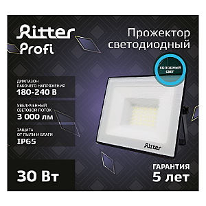 Прожектор уличный Ritter 53407 9